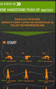 Handstand Push-Ups progression Bodyweight Training Arena