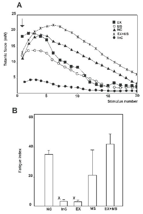 Fatigue Of The Muscles Induced By High Frequency Stimulation A