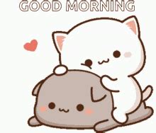 Good Morning Cute Gif GIF – Good Morning Cute Gif – discover and share GIFs