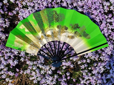 Japanese Folding Fan Dance