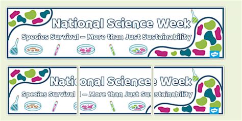 National Science Week Display Banner L Enseignant A Fait