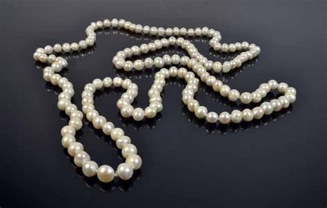 Knotted Opera Length Freshwater Pearl Strand Necklace Chain Jewellery