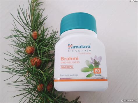 БАД HIMALAYA Brahmi - «"Тоник для мозга и нервов"- звучит красиво ...