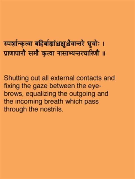 Bhagvad Gita Chapter Verse Om Namah Shivaya Mantra Sanskrit