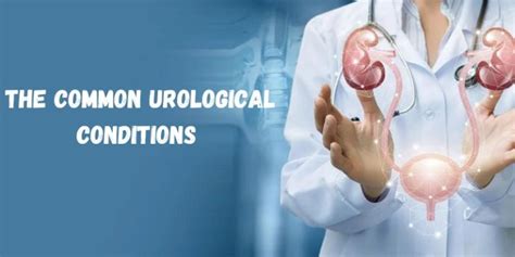 The Common Urological Conditions And How Can They Be Treated