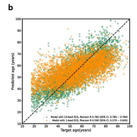 Performance Of Sex Prediction Model Receiver Operating Characteristic