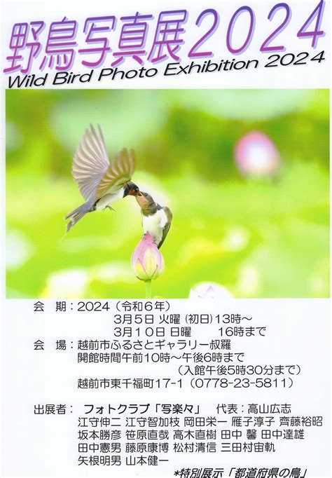 令和6年3月5日（火）13時～3月10日（日） 野鳥写真展 2024 公益財団法人 越前市文化振興・施設管理事業団