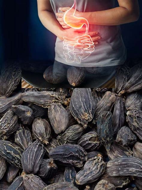 ఎసిడిటీని తగ్గించే ‘నల్ల యాలకులు 10tv Telugu Health Benefits Of