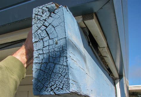 Roof Beam Dry Rot The How And Why The Beam Guy