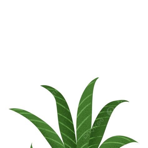 Green Plants Png Transparent Green Plants Leaves Leaf Green Leaf