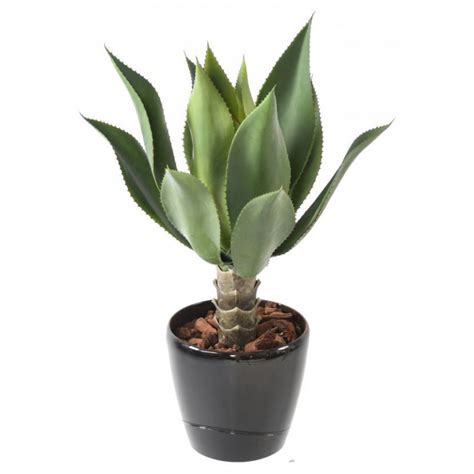 Agaves Artificiels Pour Int Rieur Et Ext Rieur Florabora Home