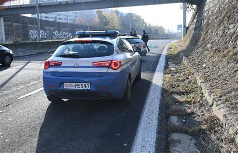 Bologna Morto Dopo La Caduta Dal Ponte Di Viale Pertini