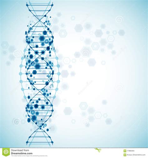 Wetenschapsmalplaatje Behang Of Banner Met Een Dna Molecules Vector