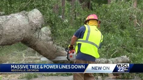 Strong Winds Topple Tree In Reidsville Causing Damage To Two Cars And