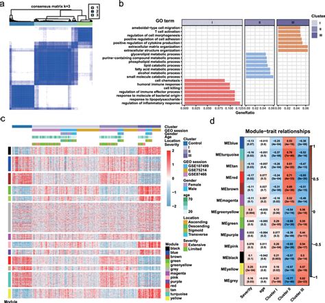 Identification Of The Heterogeneity Of Uc A Consensus Clustering Download Scientific Diagram