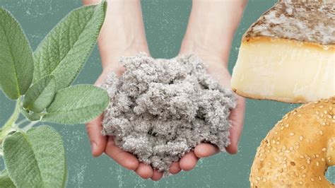 The Ultimate Guide To Cellulose And How Its Used In Our Food