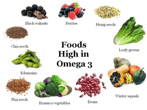 Foods That Are High In Omega 3 Flash Sales Welcome