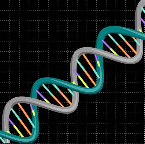 Dna Genetisch Wissenschaft Kostenlose Vektorgrafik Auf Pixabay