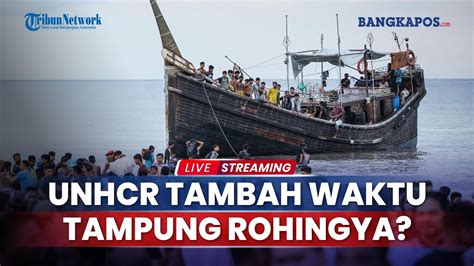 Tak Ada Kepastian Relokasi Unhcr Perpanjang Masa Tampung Pengungsi