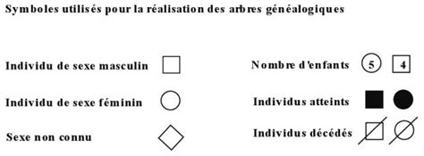 L arbre généalogique 4ème partie Types et conventions Entre nous