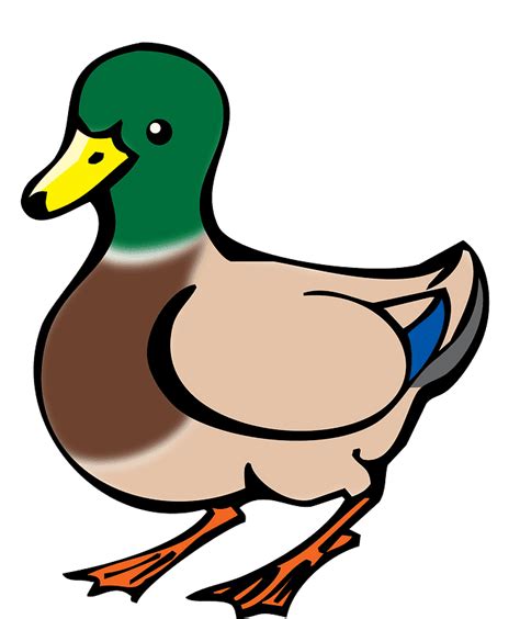 Duck Hunting Clipart Free Clipart World