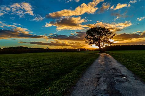 Fotos Gratis Paisaje árbol Naturaleza Césped Horizonte Nube