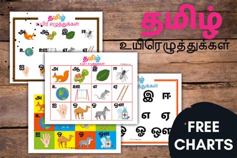 Tamil Vowels chart - Free Educational printable for kids