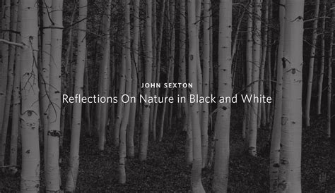 John Sexton: Reflections On Nature in Black and White | SFO Museum