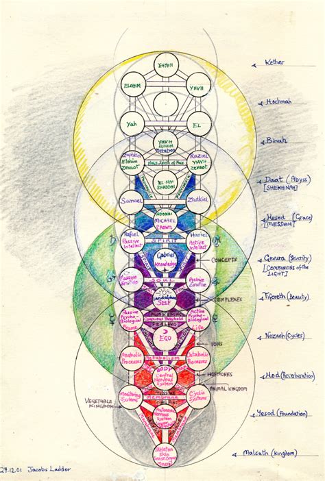 Diagram Tree Of Life Sephiroth Diagram Mydiagramonline