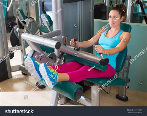 Gym Seated Leg Curl Machine Exercise Stock Photo 251511094 | Shutterstock