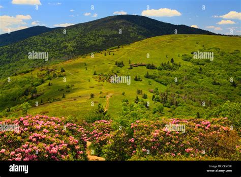 Along Appalachian Trail On Jane Bald Look At Round Bald Roan Mountain