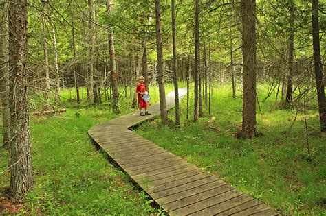 Petoskey State Park – Camping, Hiking, Biking and Tunnel of Trees – MyMichiganTrips.com