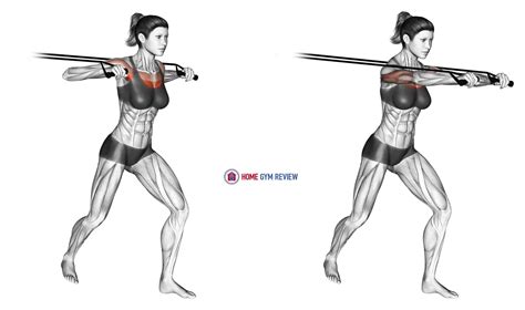 band standing chest press home gym review