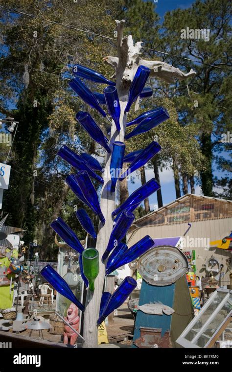 Southern Bottle Tree Tybee Island Georgia Believed To Catch And