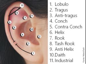 Romero Advocacia Os Diferentes Tipos De Piercing Na Orelha