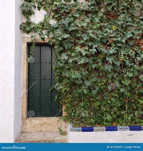 Doorway Wall Ivey Plants At The Alcazar In Seville Spain Editorial