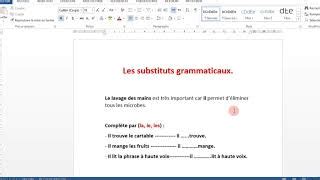 Les Substituts Grammaticaux Exercices Am