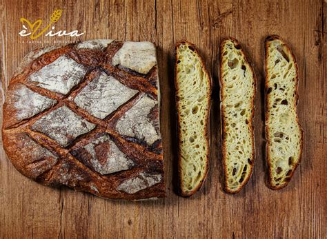 Pane Di Semola Rimacinata Veloce E Alveolato Fatto In Casa