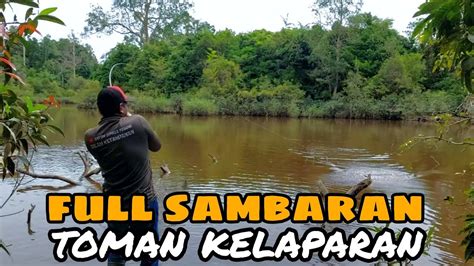 Casting Toman Di Hutan Bekas Banjiran Casting Full Sambaran Toman