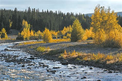 Recreational Pursuits Abound In Bragg Creek Lakeland News
