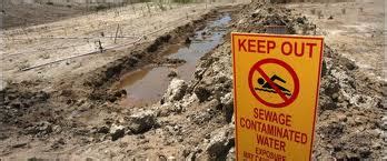 Effects - Sewage Pollution