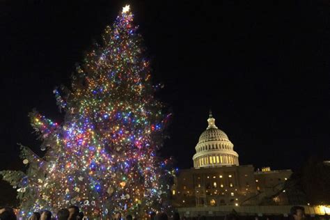 Us Capitol Christmas Tree Is Lit For Holiday Season