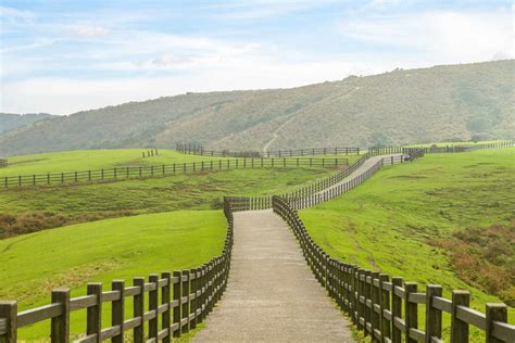 Yangmingshan National Park