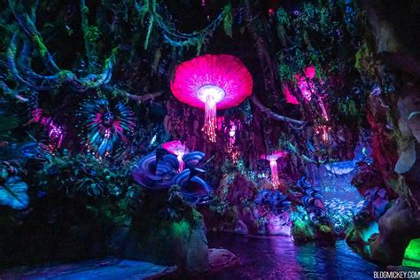 Na'vi River Journey Ride in Pandora - The World of Avatar