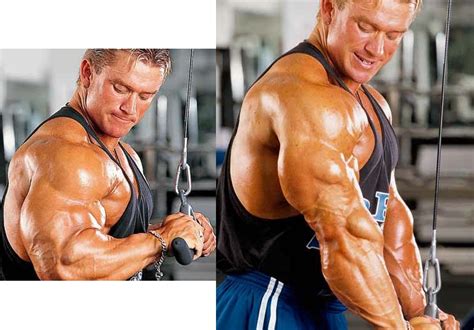 The Best Long Head Triceps Exercises For Thicker Stronger Arms