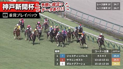 【神戸新聞杯 2023】過去5年のレース映像・傾向 競馬予想動画 Netkeiba