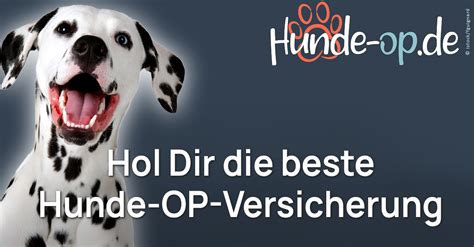 Hunde OP Versicherung Tierarztkosten sparen Schutz für den Hund