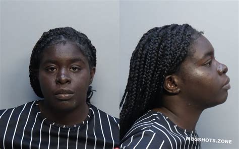 LEVY TRIANA 11 22 2022 Miami Dade County Mugshots Zone