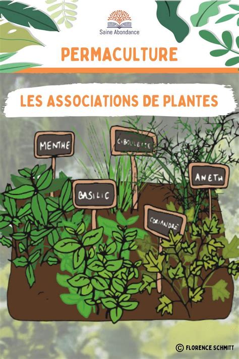 Les plantes et légumes à associer au jardin Gardening For Dummies