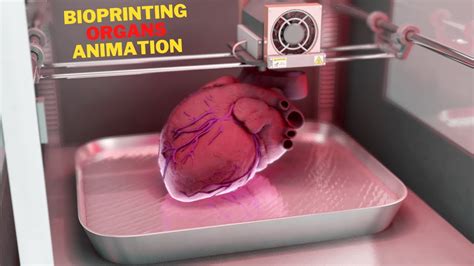 The Process Of Making D Printed Organs Animation Youtube